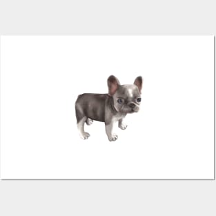 Puppy Frenchie Posters and Art